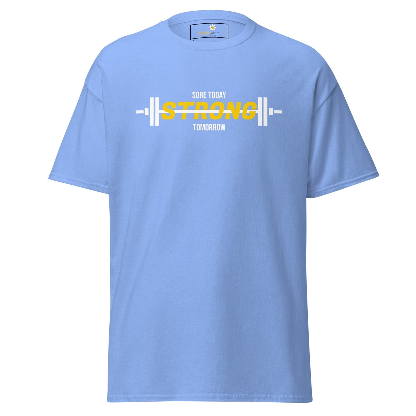Unisex classic t-shirt - SPORT SORE TODAY - REGULAR - Carolina Blue / S